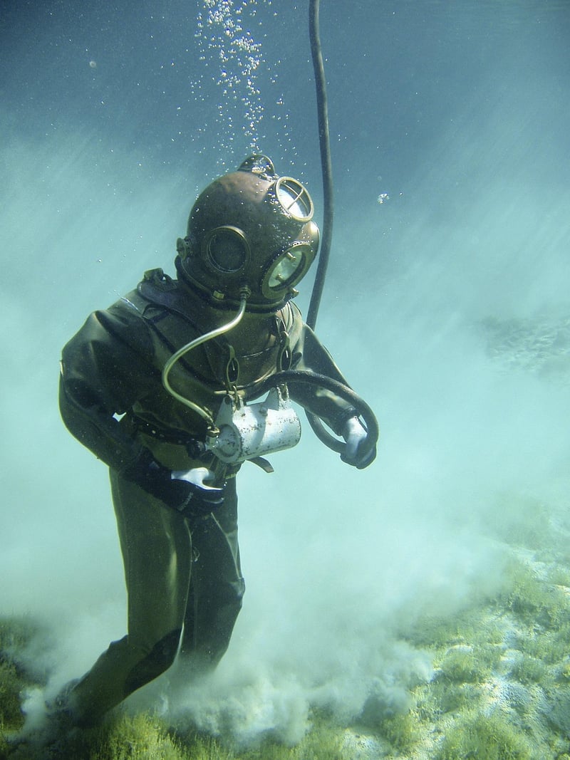 Diving into Summer